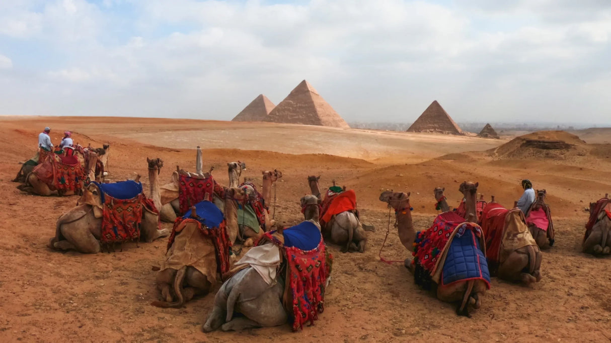 Pack de 2 Baterías Recargables Enduro para HERO13 Black