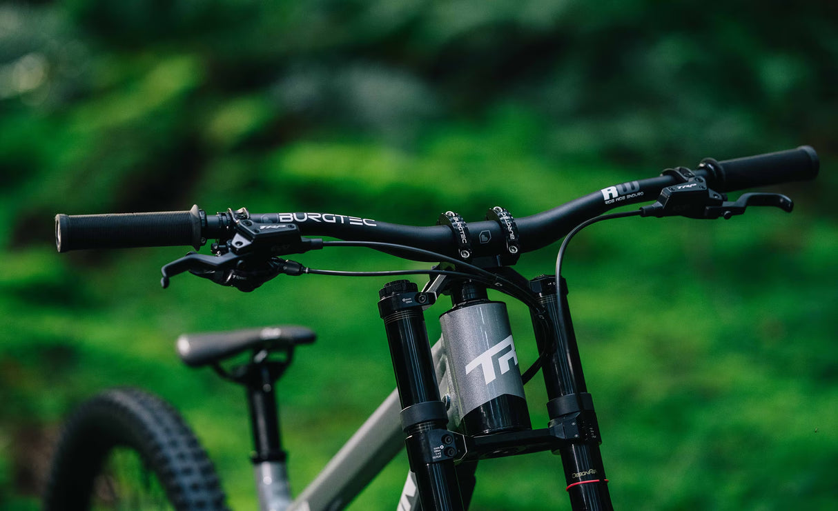 Frameset Transition TR11 2026 Moonstone