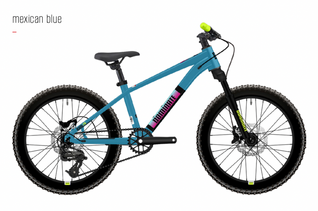 Bicicleta MTB Dominate Kids Aro 20" Blue