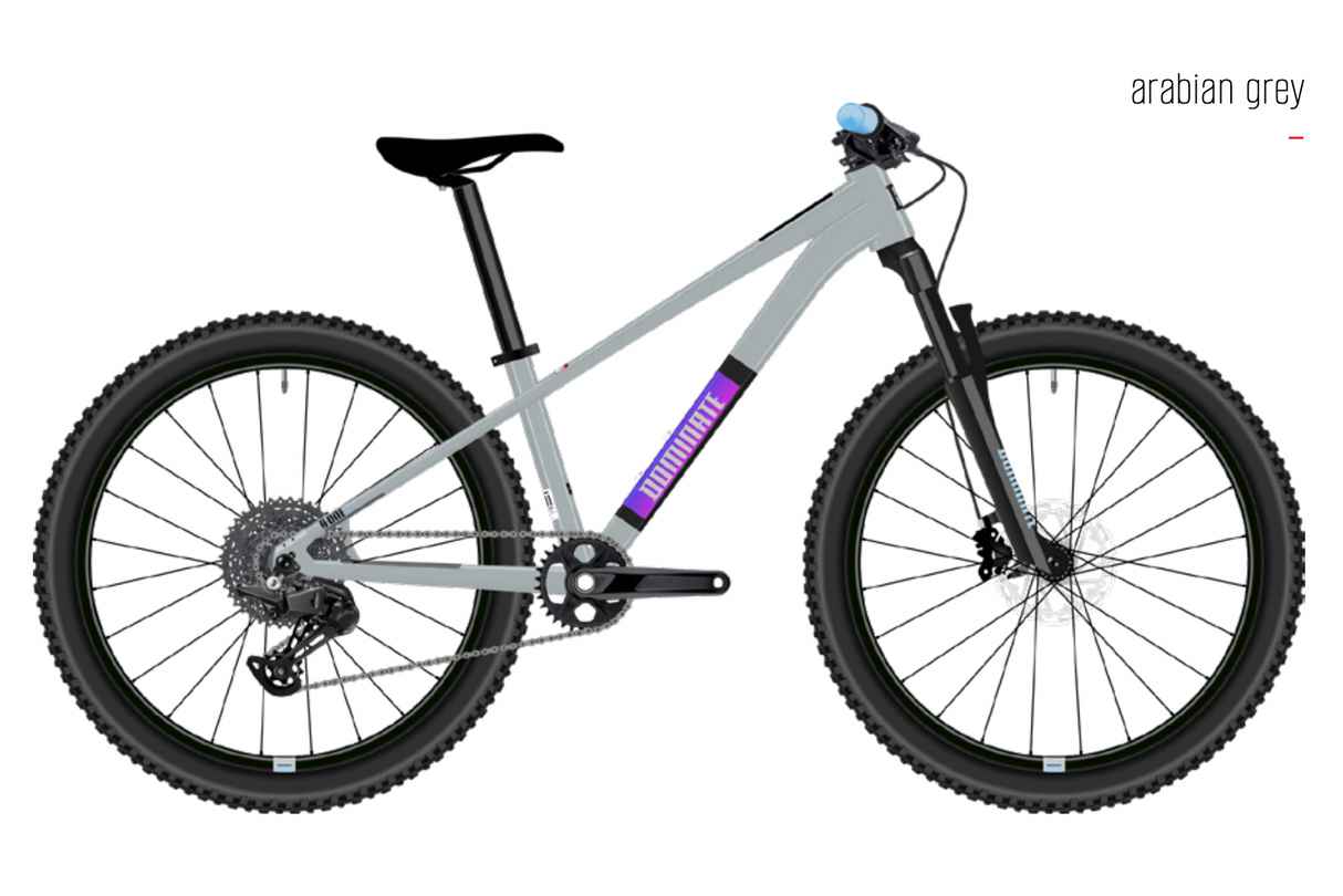 Bicicleta MTB Dominate Kids Aro 24" Grey