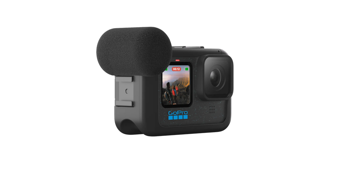 Módulo multimedia (Micrófono direccional y módulo de puertos multimedia)