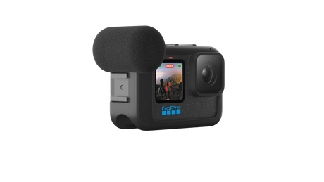 Módulo multimedia (Micrófono direccional y módulo de puertos multimedia)