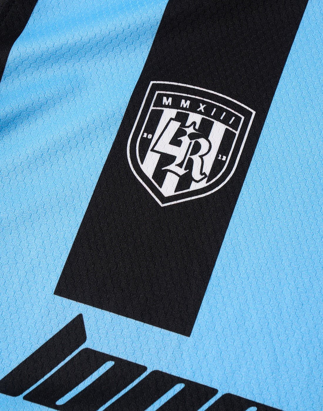 Polera Derby Blue Loose Riders