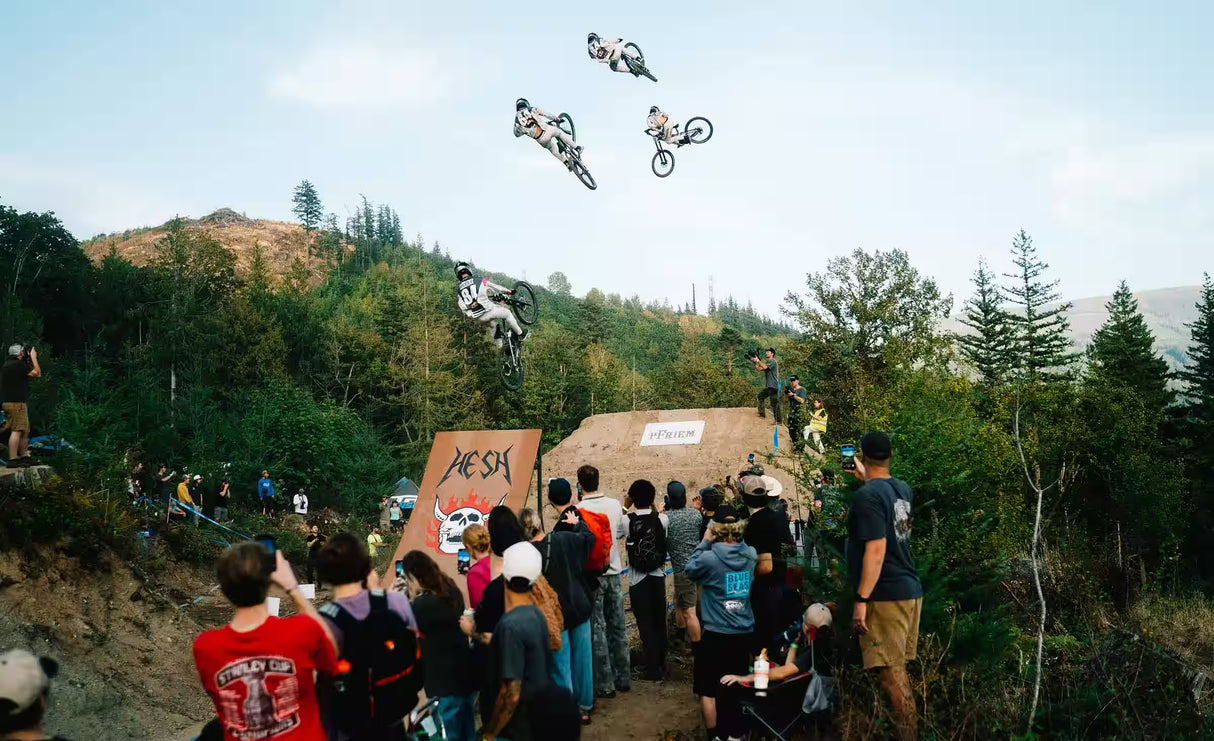 Frameset Transition Bottlerocket Disco Flamingo