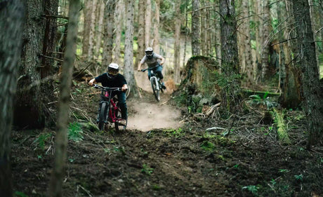 Bicicleta Transition Bottlerocket Pletina Simple