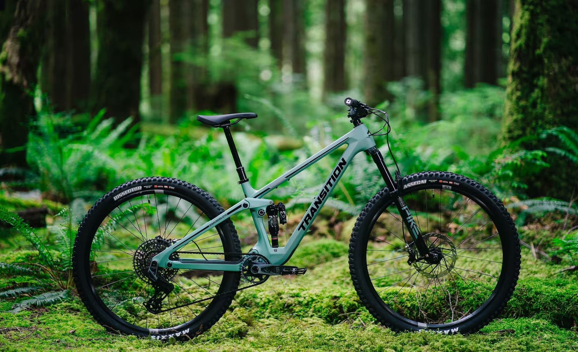 Cuadro Transition Smugler Carbon