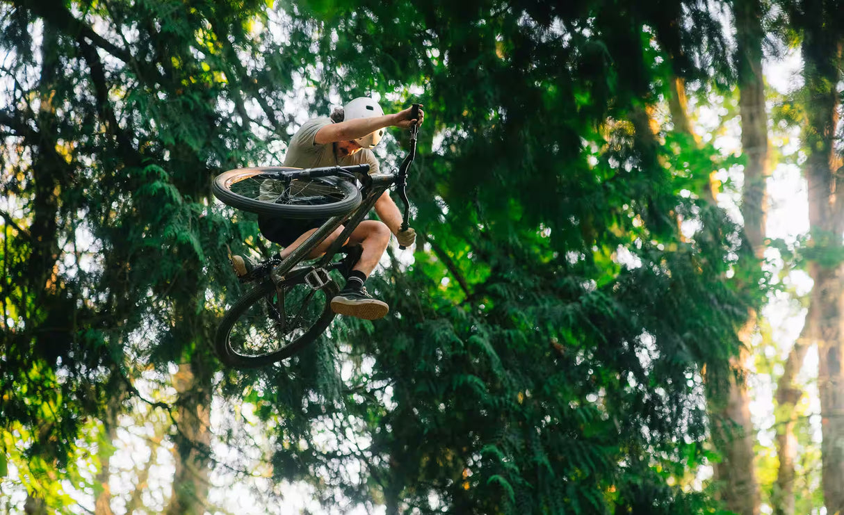 Cuadro Transition PBJ