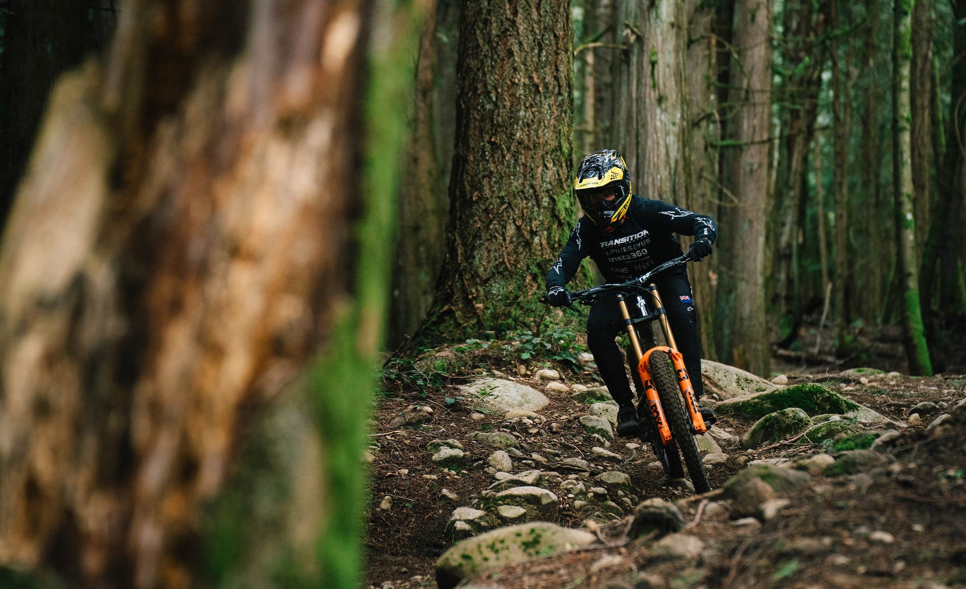 Frameset Transition TR11 White [2025]