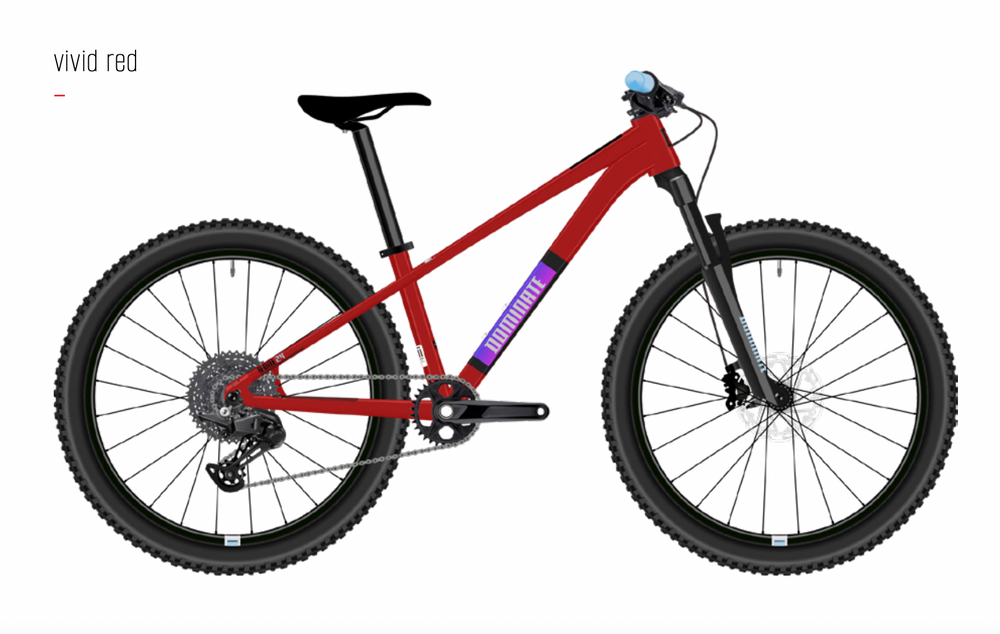 Bicicleta MTB Dominate Kids Aro 24" Red
