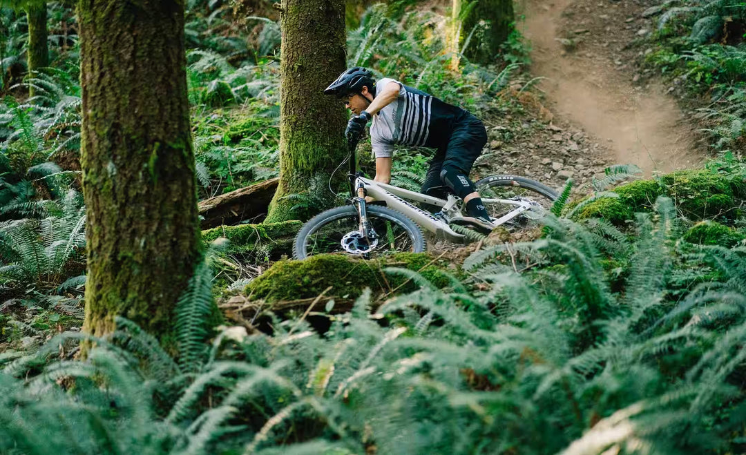 Bicicleta Transition Sentinel Carbon X0 Axs