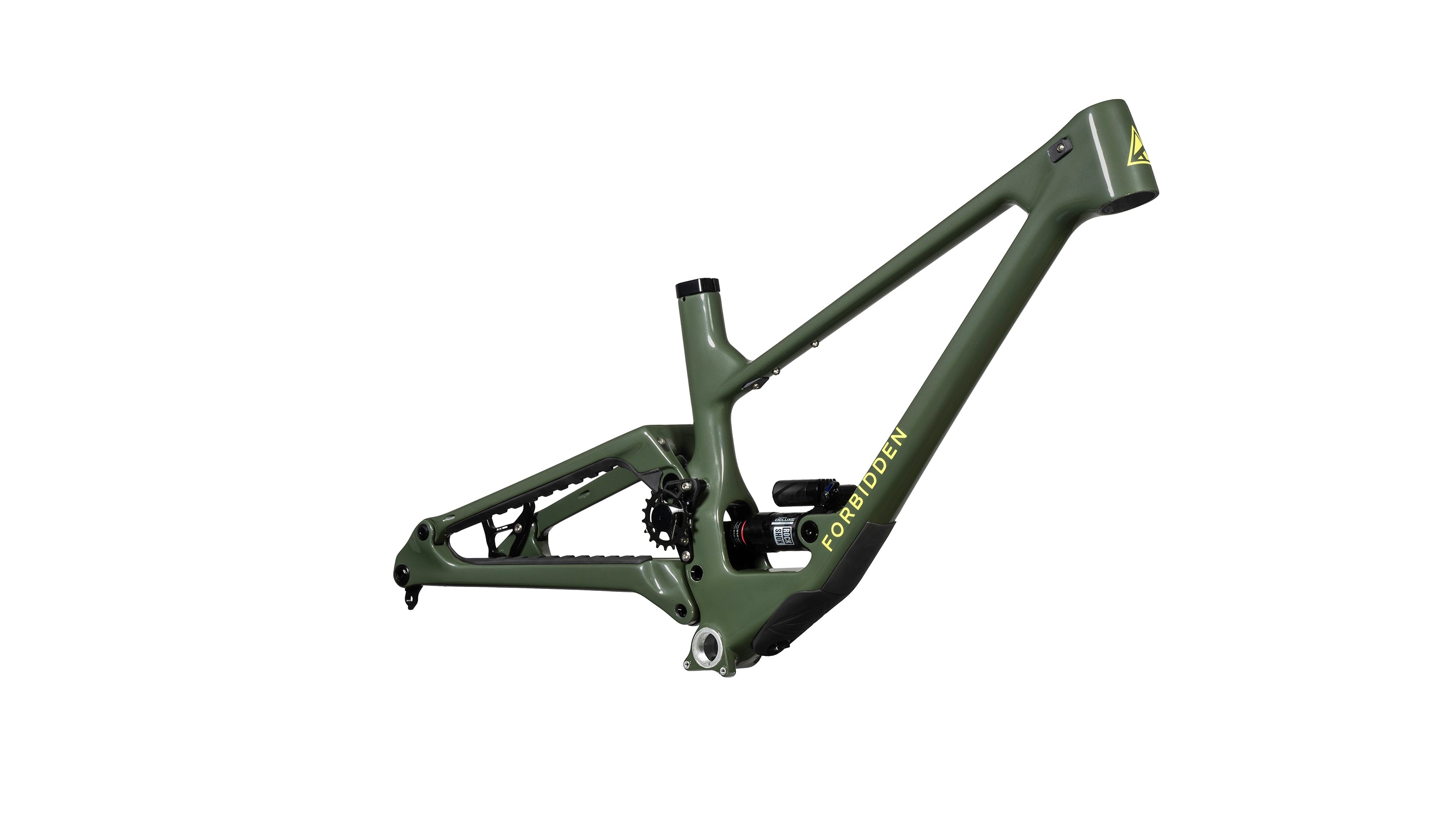 P. Hillii cv. Fujin 風神 Spored Fern➰蕨戀➰Love 』「 Hillii cv. Fujin 」深綠風神鹿角蕨店面裝飾