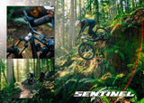 Transition Sentinel en acción