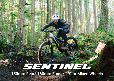 Transition Sentinel 2026 Alloy Eagle 70 — Trail MTB 29er