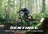 Transition Sentinel 2026 Alloy Eagle 90 — Trail MTB 29er