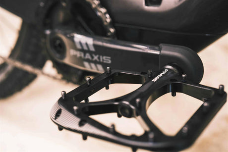 Pedales Praxis Brodium COLORES