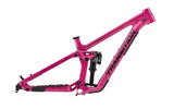 Frameset Transition Bottlerocket Disco Flamingo