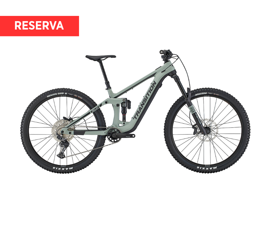 Bicicleta Transition Relay Alloy PNW