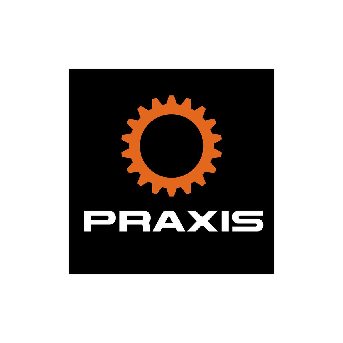 Imagen genérica — Herramienta Praxis T47 IB Shim / M24 Tool